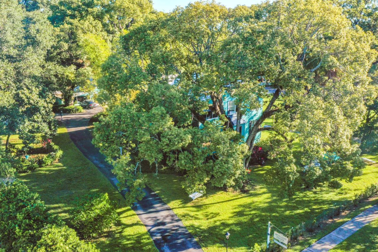 ホテル The Estate At Mt Dora マウント・ドラ エクステリア 写真